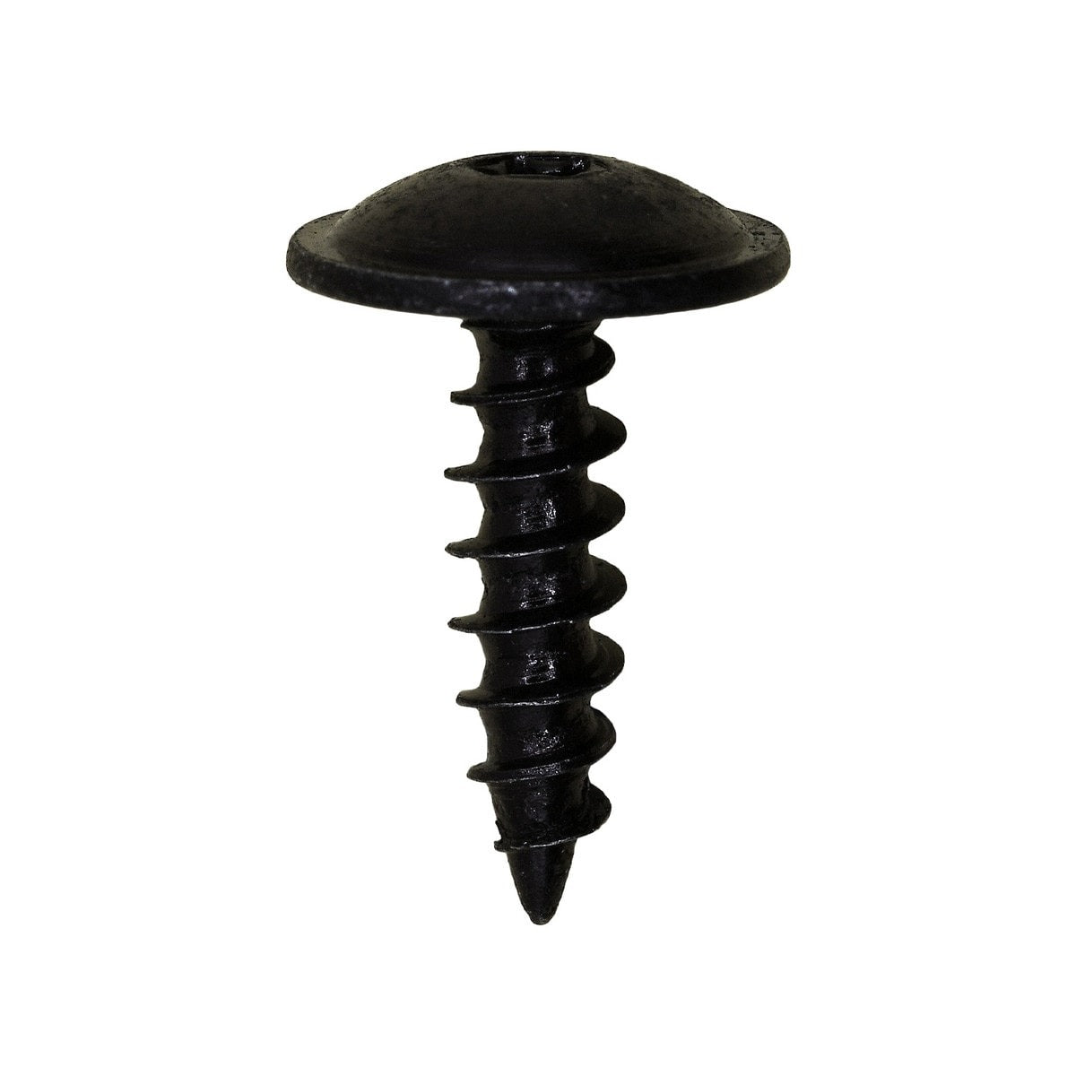 25 Pcs Tapping Screw Torx Truss Head Black